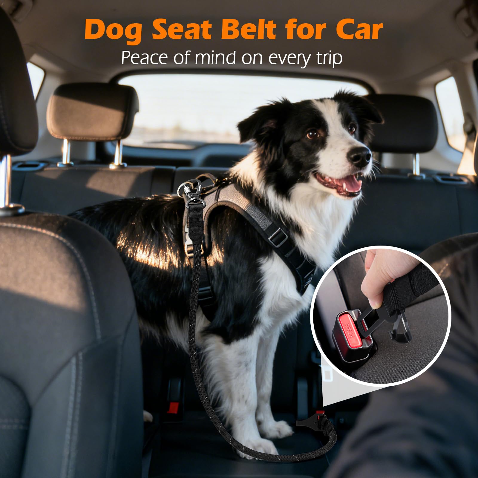 PetBonus Dog Seat Belt for Car, Durable Rope Dog Car Harness Seatbelt for Vehicle, Pet Tether Safety Restraint with Heavy Duty Buckle Hook Latch Lockable Clip for Small Medium Large Breeds (Black) - image 3