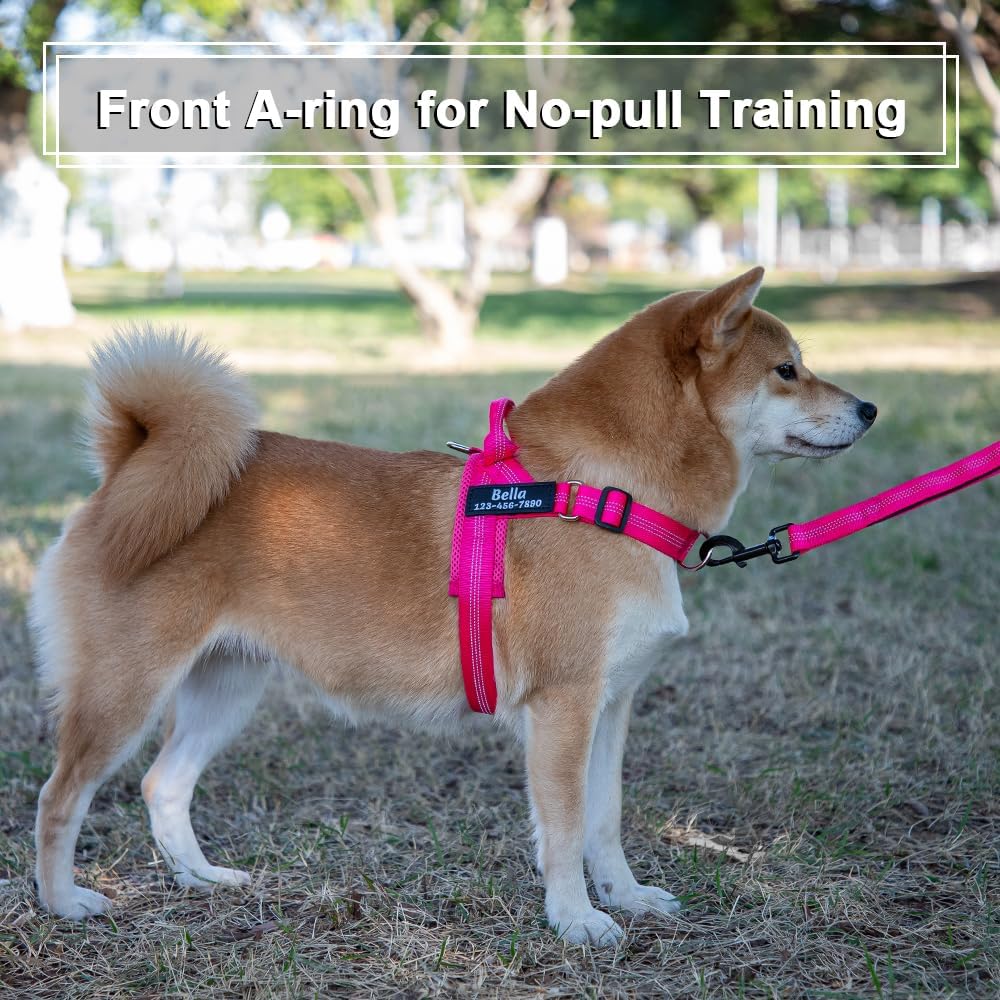 Personalized No Pull Dog Harness with Name and Phone Number,Quick Fit Easy Walk Dog Harness,Reflective No Choke Pet Vest with Easy Control Handle for Small Medium and Large Girl Boy Dogs,Grey,M