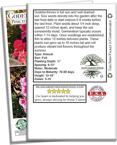 Miniatura 4 de Semillas de flor Godetia Rembrandt de rosa a rojo (Clarkia Amoena) – Más de 1500 semillas de reliquia sin OMG, de Isla's Garden Seeds, perfectas