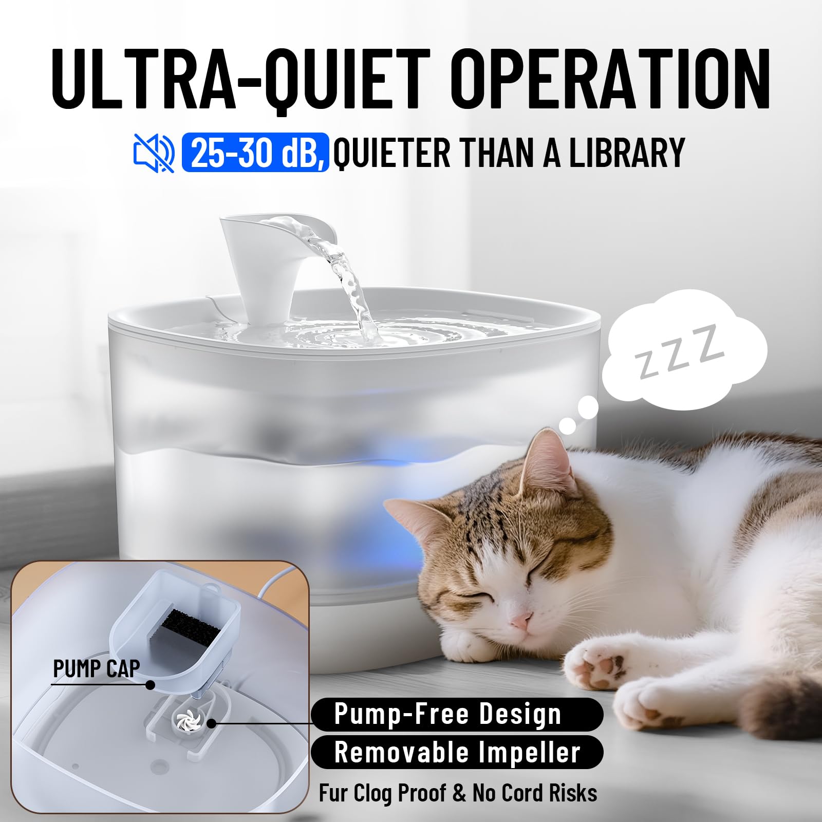 https://m.media-amazon.com/images/I/71W21VCOuCL.jpg