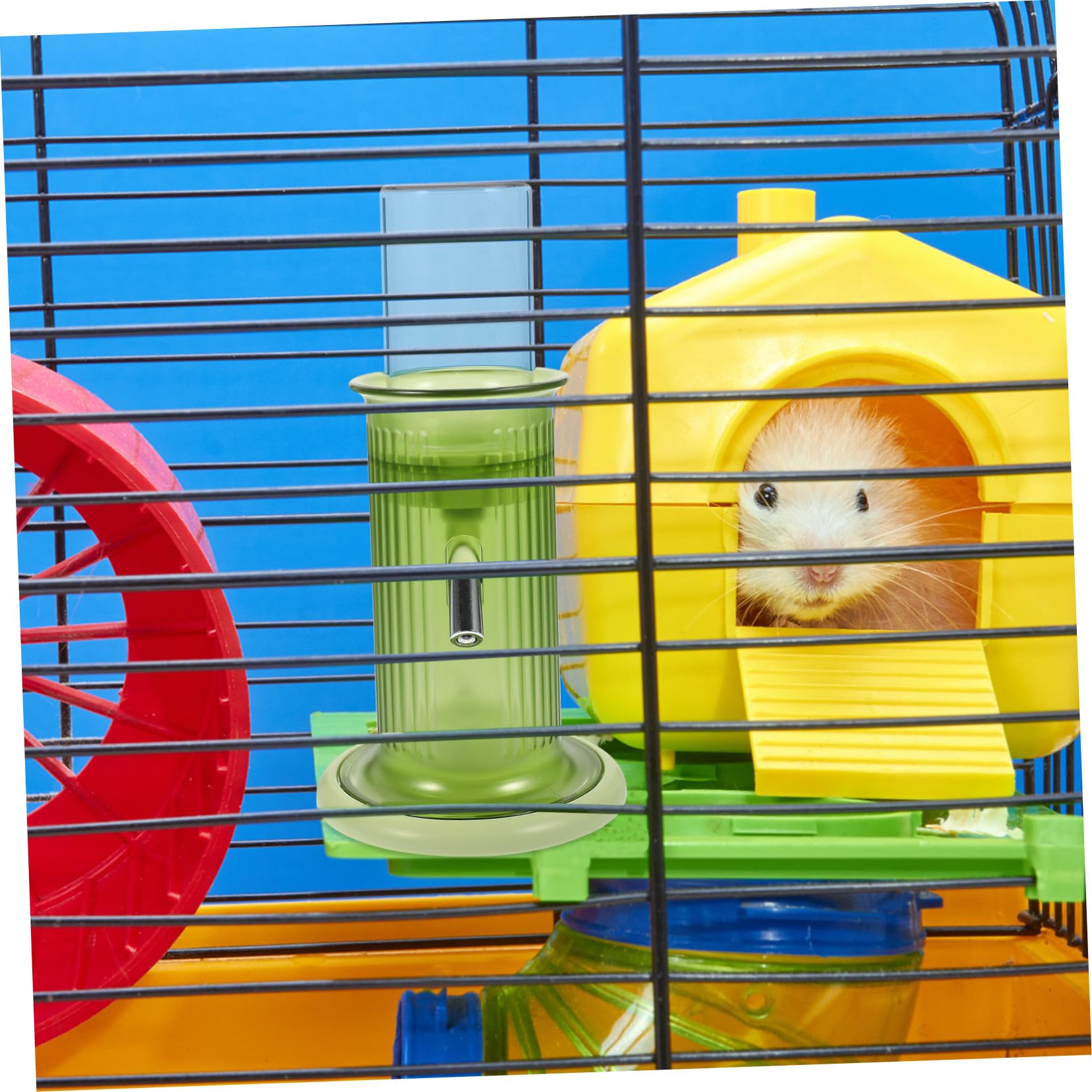 Abreuvoir Vertical pour Chinchilla et Petits Animaux, Bouteille d'eau en Verre et Polypropylène, Étanche et Facile à Utiliser, Accessoire Pratique pour Cage Verte