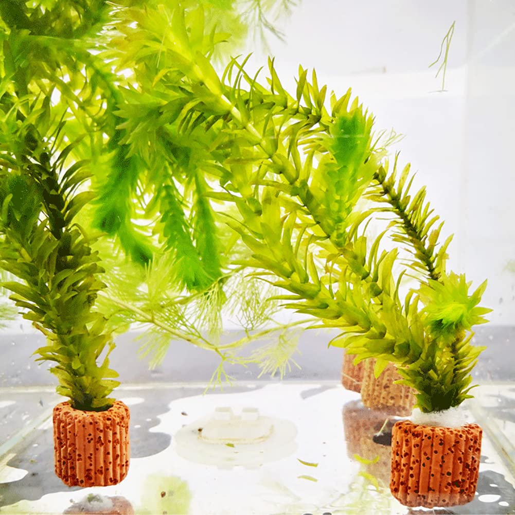 JIHUOO 8 Pcs Fish Tank Plant Pots Aquarium Plant Holders Small Aquarium Planters Aquatic Plant Cups Fish Tank Planters with Holes Aquarium Decorations - Image 2