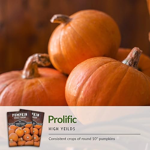 Miniatura 6 de Survival Garden Seeds - Semilla pequeña de calabaza de azúcar para plantar - 5 paquetes con instrucciones para plantar y cultivar calabazas de