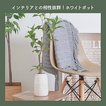 Amazon|不二貿易 フェイクグリーン インテリアグリーン 人工観葉植物 Amazon|不二貿易 フェイクグリーン インテリアグリーン 人工観葉植物