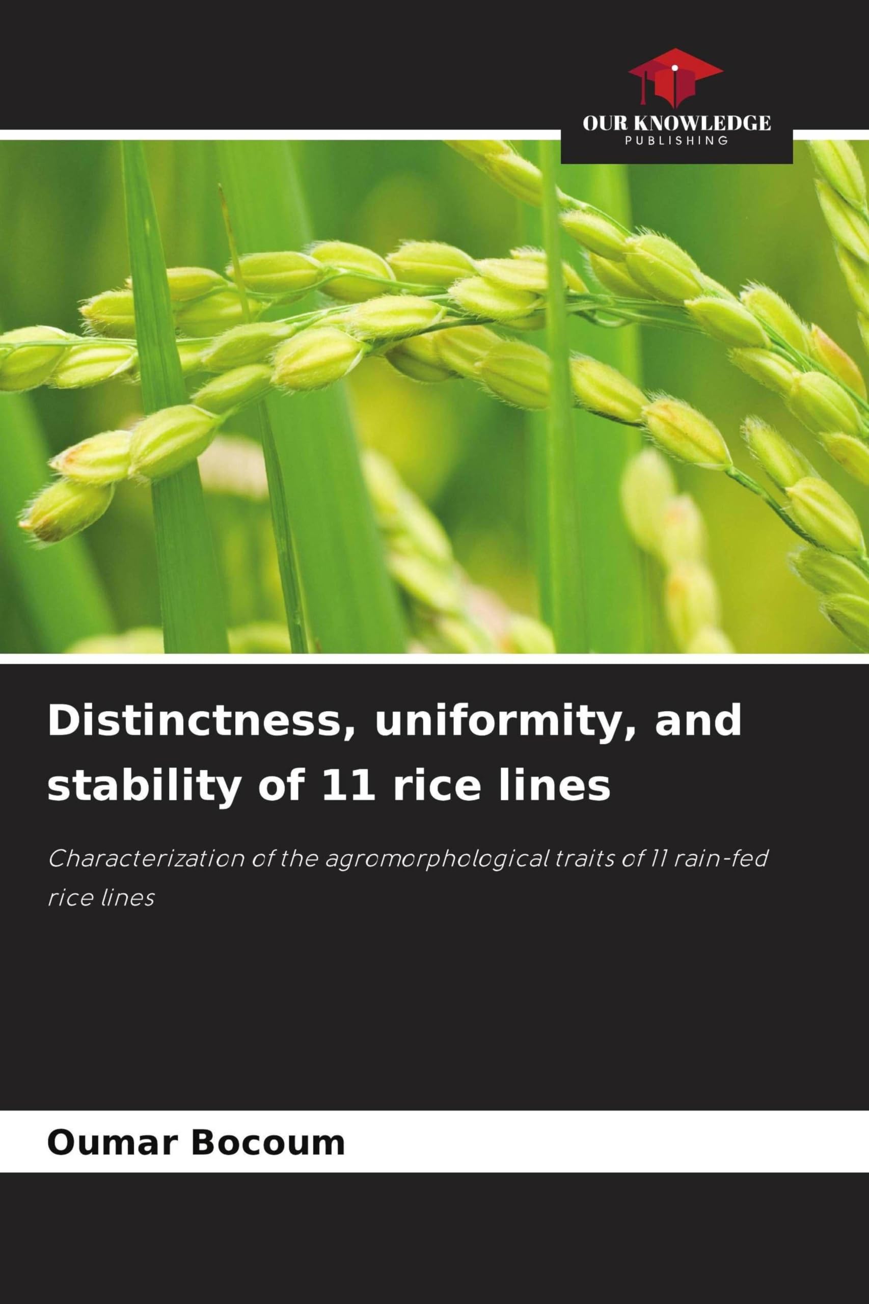 Distinctness, uniformity, and stability of 11 rice lines: Characterization of the agromorphological traits of 11 rain-fed rice lines