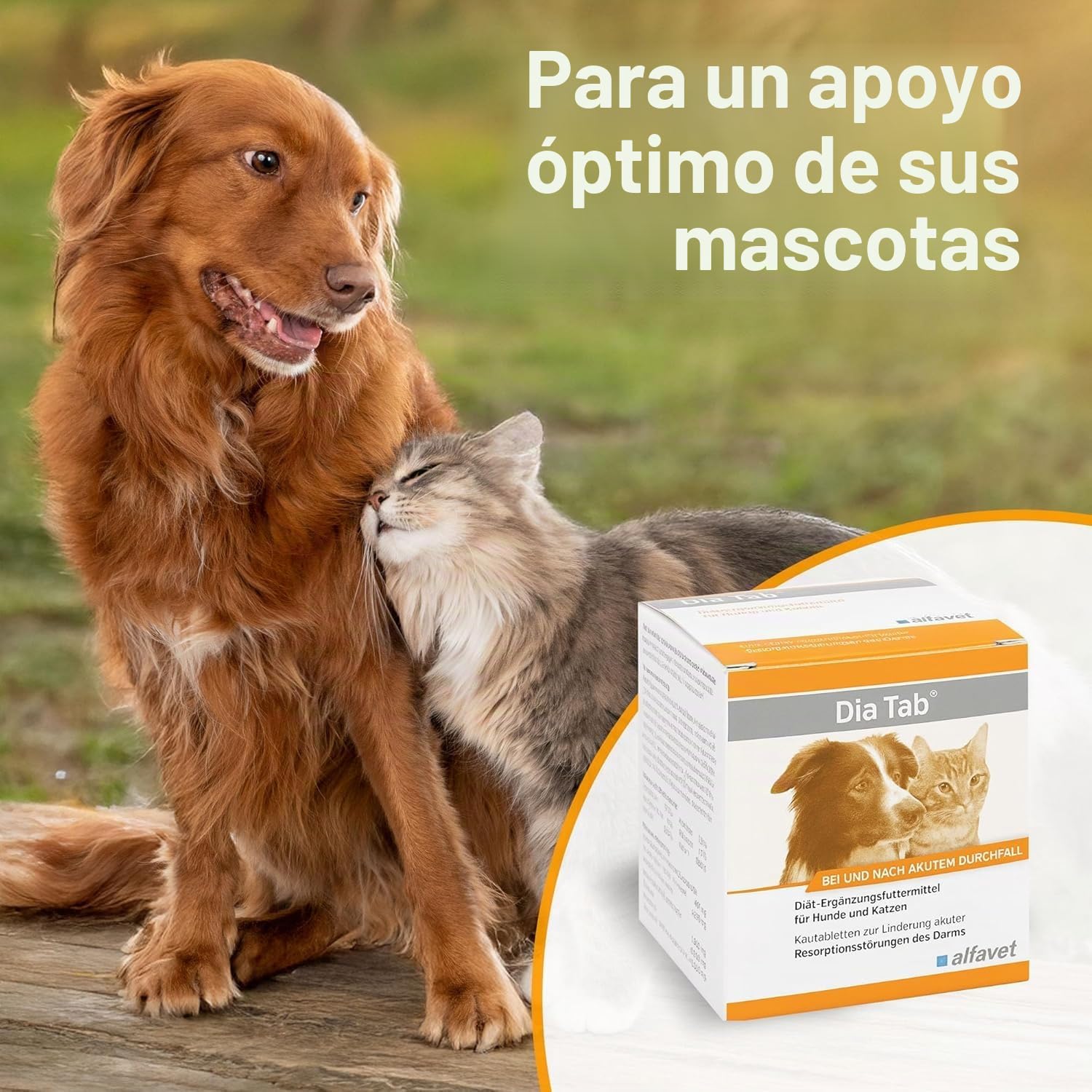 alfavet Dia Tab 20 x 5,5 g – Complemento alimenticio dietético para perros y gatos – con ingredientes vegetales para regular la digestión y la microflora intestinal – Pastillas masticables con