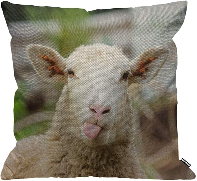 HGOD DESIGNS Cushion Cover Sheep Funny Sheep Portrait Of Sheep Showing Tongue Throw Pillow Cover Home Decorative for Men/Women/Boys/Girls living room Bedroom Sofa Chair 18X18 Inch Pillowcase