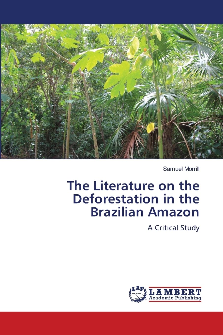 The Literature on the Deforestation in the Brazilian Amazon: A Critical Study