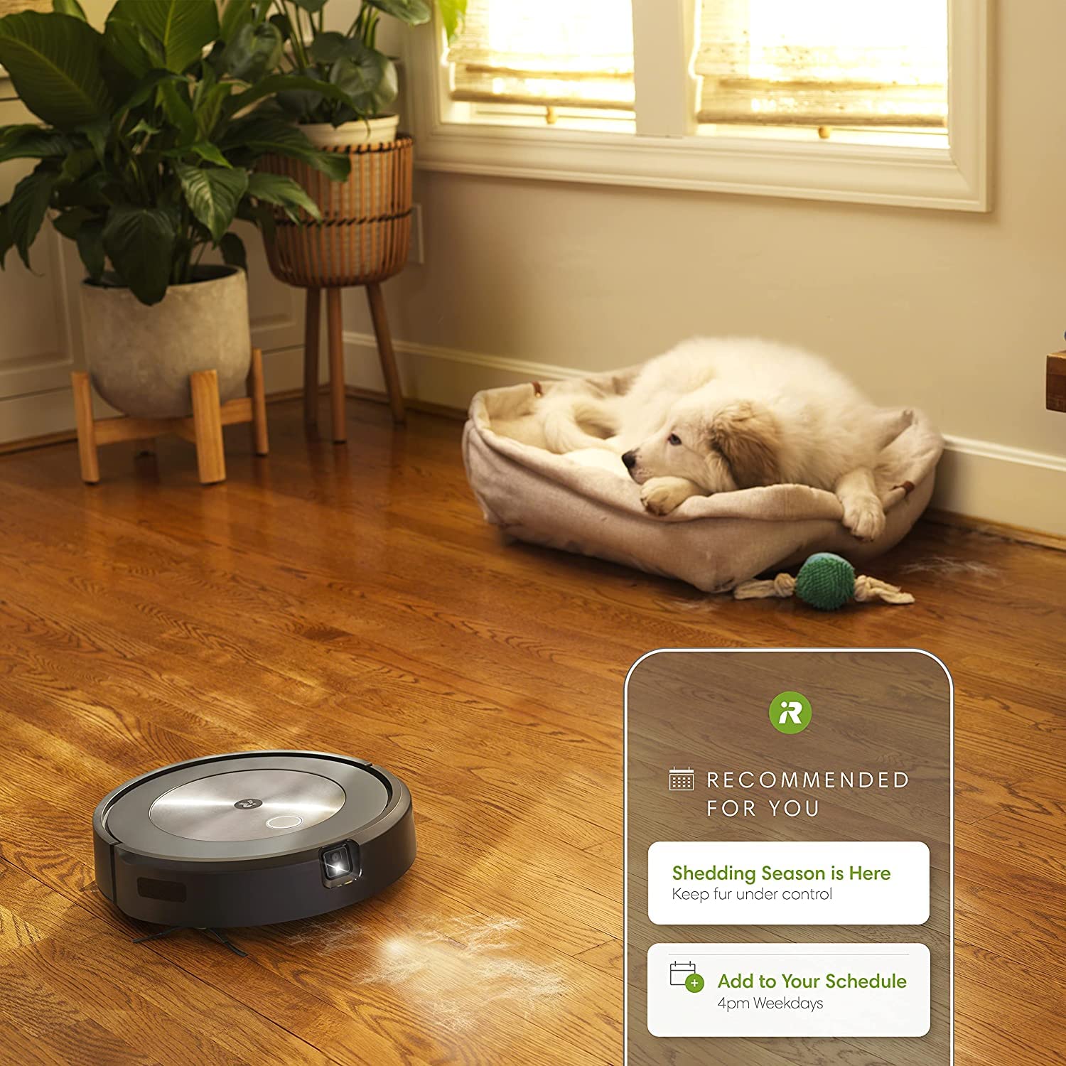 Buy iRobot® Roomba® j7+ (7550) Robot Vacuum Bundle with Automatic Dirt