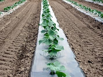 Silver Metallic Plastic Mulch 4 Ft X 250 Ft 1.0 Mil Embossed by Growerssolution