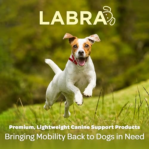 Miniatura 6 de Labra Envoltura de compresión de articulación canina de apoyo extra para perros, para recuperación, protección y prevención de esguinces y lesiones,