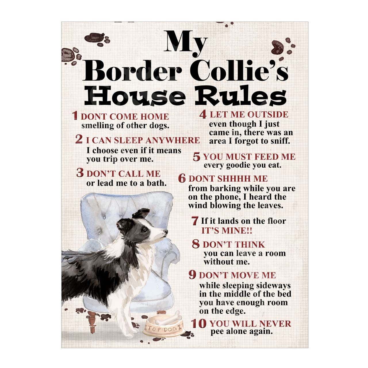 Metal Tin Sign Dog Plaque Dog's House Rules Garden Bar Home Decor Garage Man Cave Poster Pet Gift Dog Lovers (Border Collie 10x8 Ref8194) — image 1