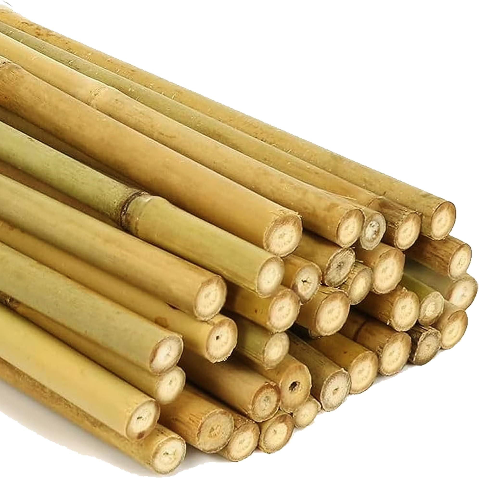 Sponsored Ad – 2ft-7ft Professional Large Bamboo Canes Strong Heavy Duty Thick Natural Stake Pole Can Plants Garden Plant Flower Gardening Sticks Supports (10, 2FT (8-10mm))