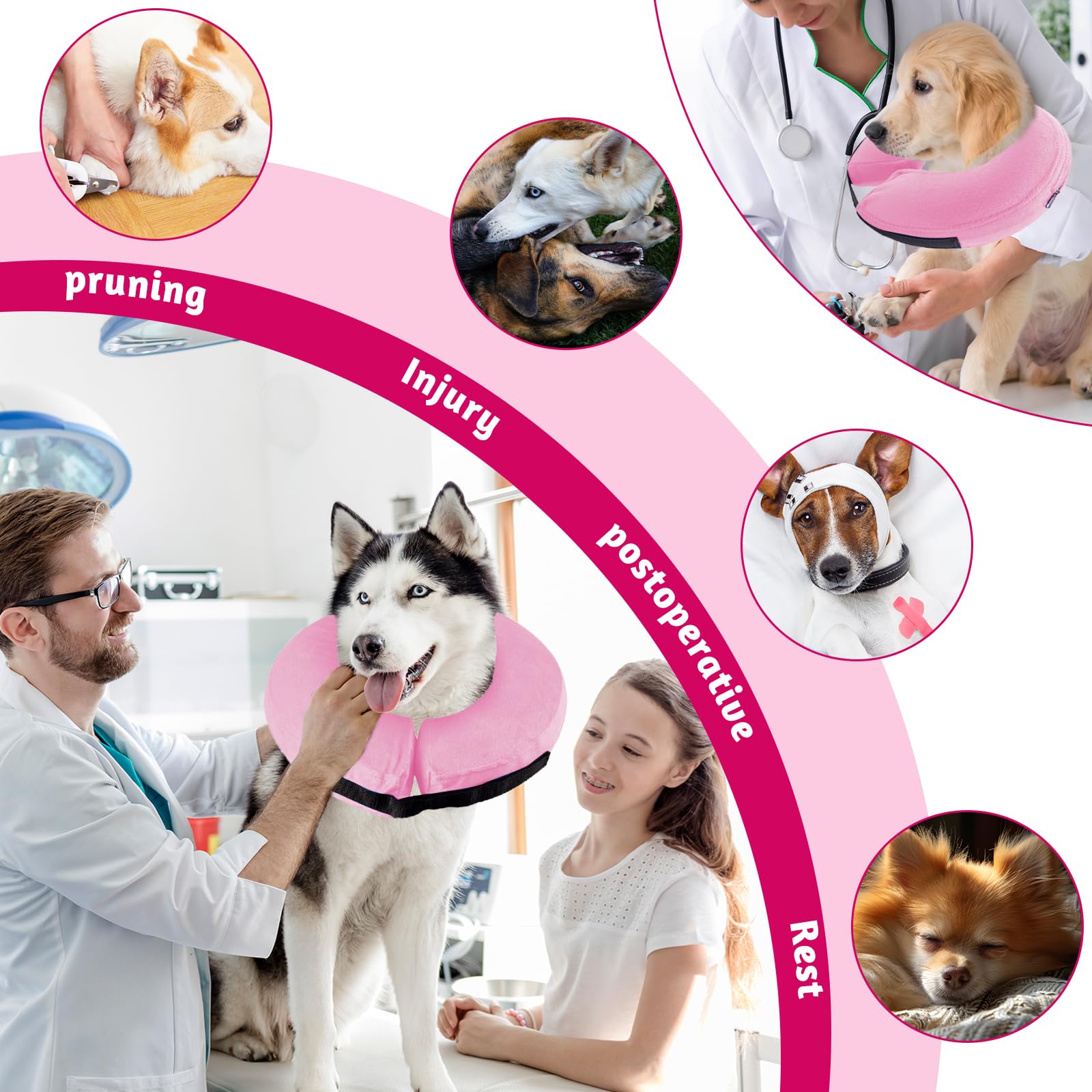 Collare a ciambella per cani – I 15 migliori prodotti a confronto - Wild Explained