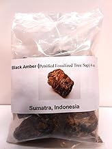 Black Amber-Genuine Petrified fossilized Tree sap from Sumatra, Indonesia 4 oz
