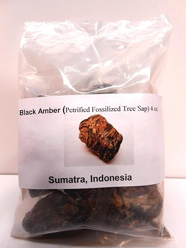 Black Amber-Genuine Petrified Fosilized Tree Savia de Sumatra, Indonesia, 4 onzas