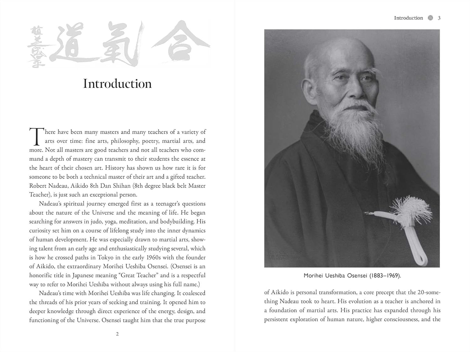 Aikido: The Art of Transformation: The Life and Teachings of Robert Nadeau      Paperback – November 5, 2024