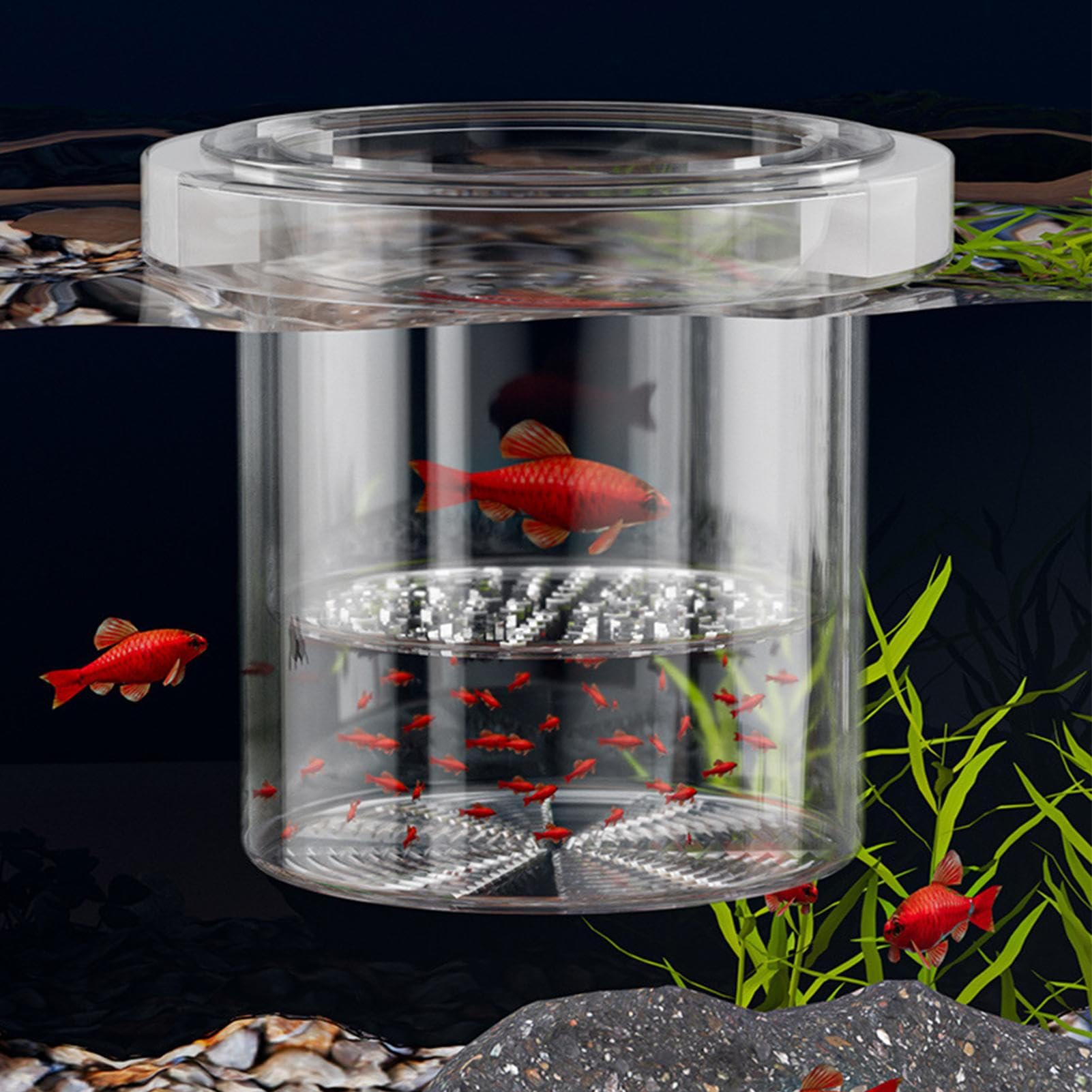 Scatola per allevamento di pesci per acquario, separatore di pesci per acquario, divisore sicuro per vivaio di acclimatazione Guppy gamberetti Betta Fry Hatchery