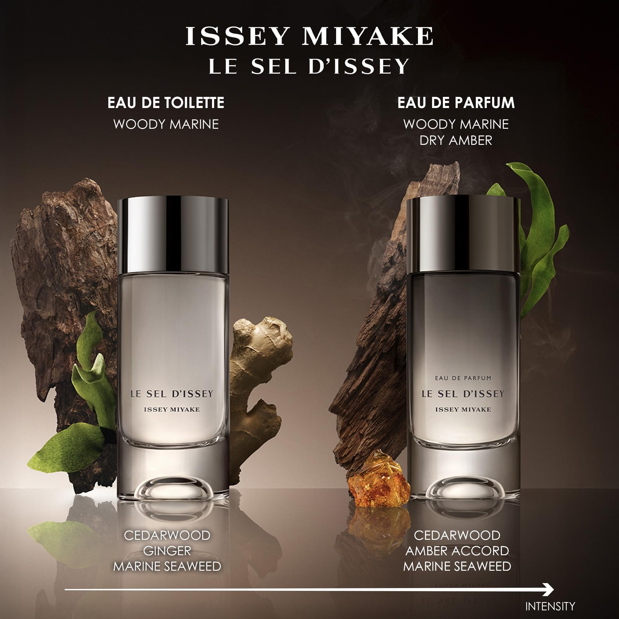 Issey Miyake Le Sel Dissey EDT Spray (Refillable) Men 3.3 oz