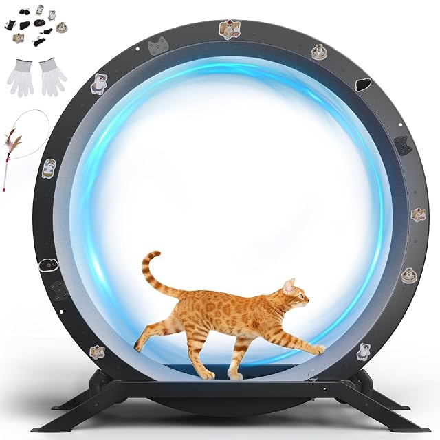 GTPLAYER - Rueda para gato, rueda de ejercicio para gatos, XXL- 110 cm, ultra silenciosa con alfombra…