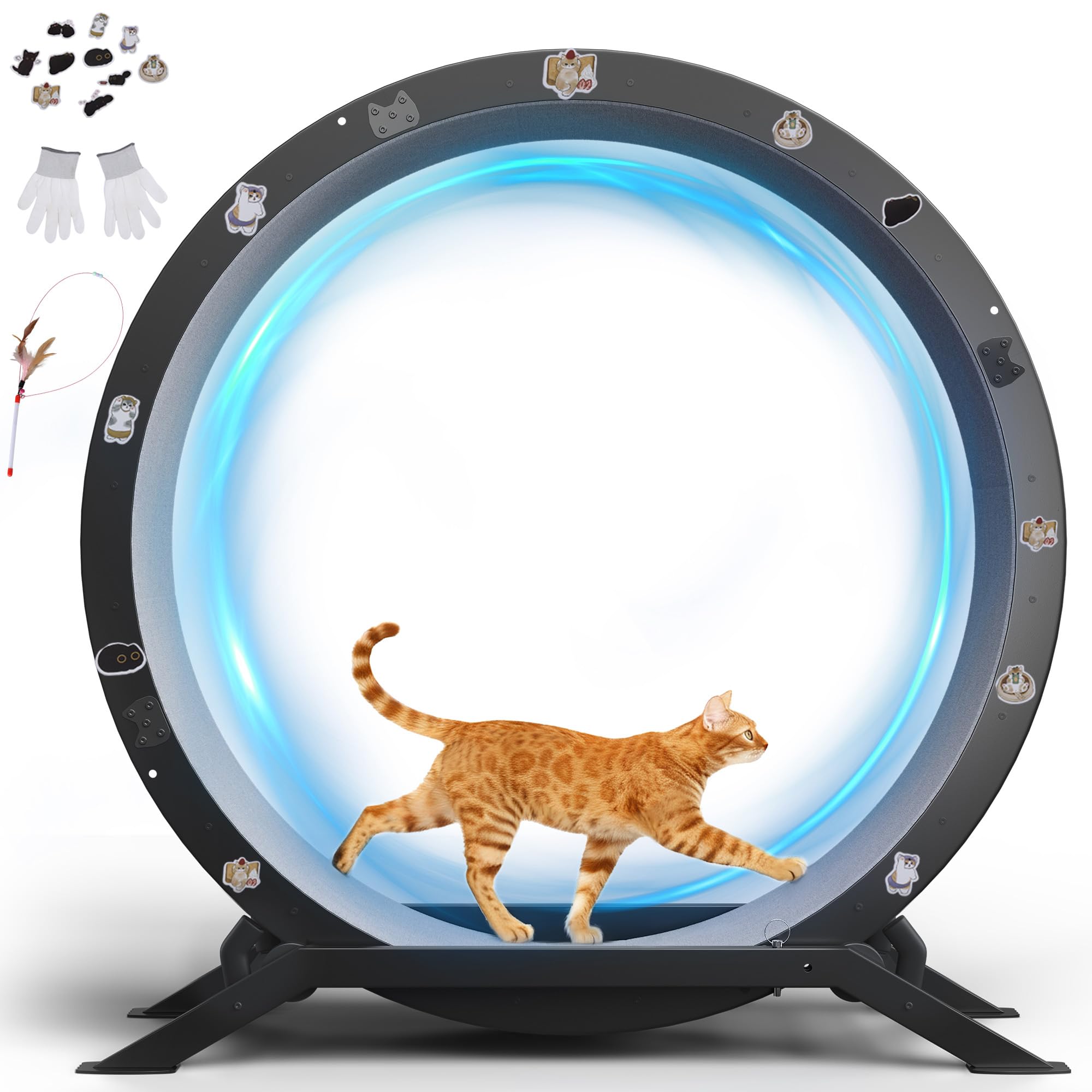 GTPLAYER Katzenlaufrad