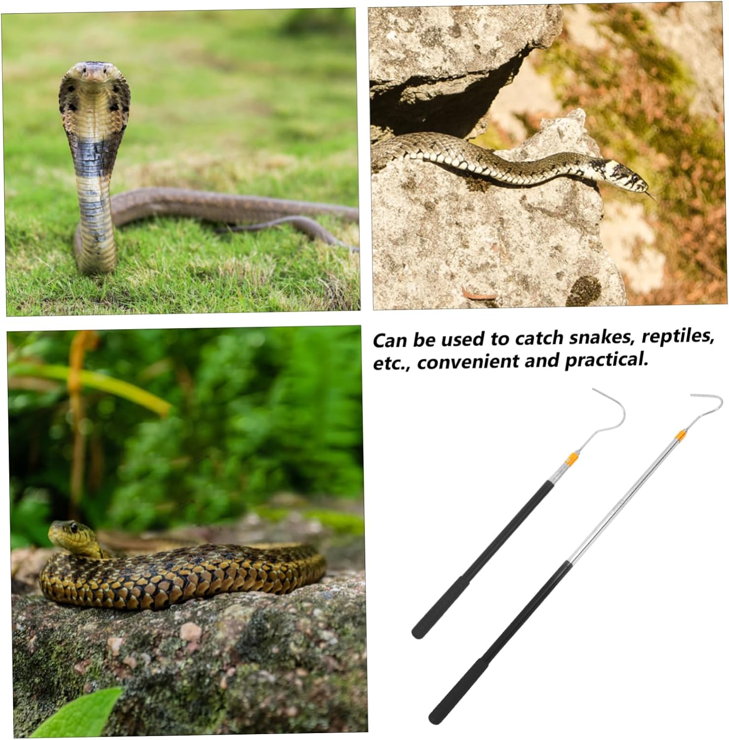 POPETPOP 1.5m Adjustable Snake Catcher Tool Capture Hook for Reptile Enthusiasts Snake Handling