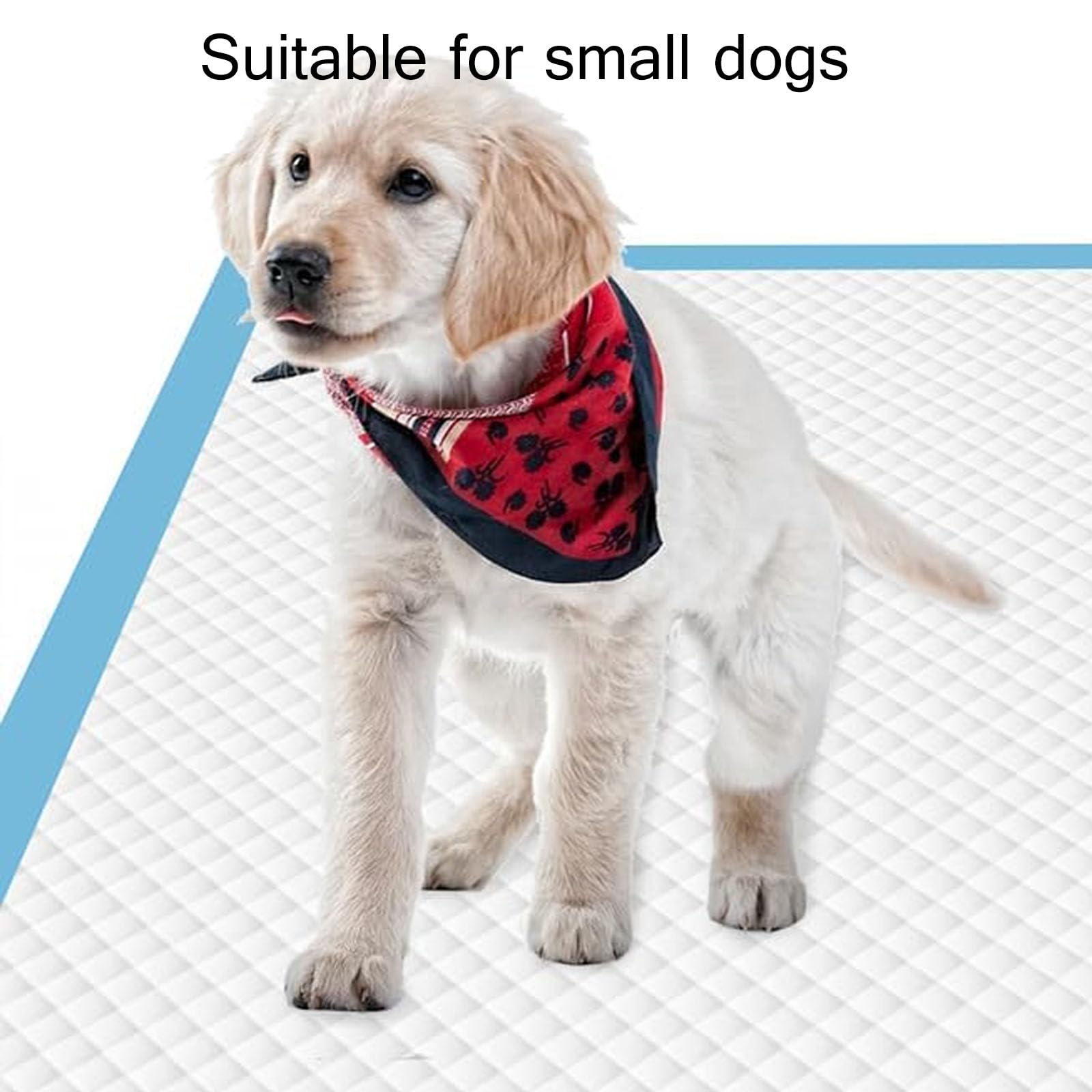 Trainingsunterlagen, 200 Stück, 33 X 45 cm, Welpenunterlagen Für Kleine Hunde, Aktivkohle-Hunde-PIPI-Unterlagen, Einweg-Welpenunterlagen, Haustier-Trainingsunterlagen
