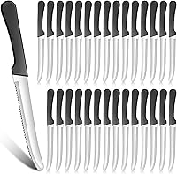 Zhehao 30-Pack Serrated Steak Knives - Stainless Steel Rounded Blade, 8.39" Lightweight Plastic Handle for Kitchen, Restaurant, Parties