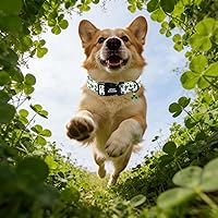 Vista 254 de Unique Style Paws - Collar rosa con hebilla de metal, duradero y lindo para perros pequeños a grandes