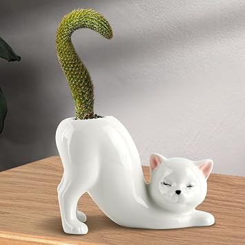 Ceramic Cat Planter Pot, Small Succulent Planter for Indoor Plants