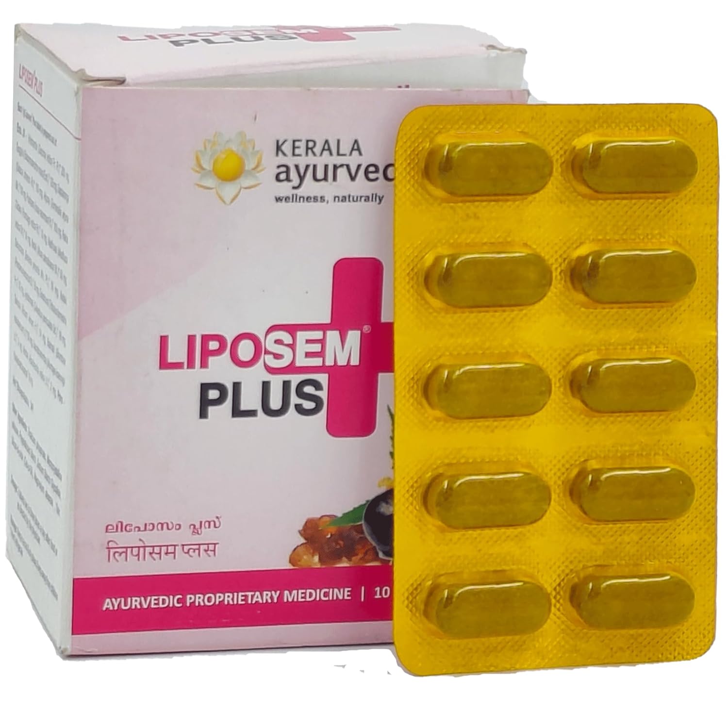 Buy Dr. Acharya's Ayurveda Liposem Plus Tablet 100 NO. (Pack of 1