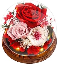 Gifts for Mother, Preserved Eternal Rose in Glass Dome, Real Flowers Gifts for Women, Forever Love Gifts for Mum Wife Girlfriend, Birthday for Her, Christmas Wedding Mother's Day Present, Red