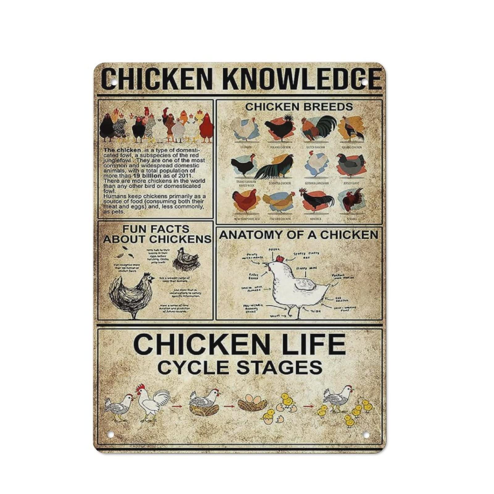 AOOEDM Chicken Knowledge Wall Metal Tin Sign for Home Bar Pub Kitchen Wall Art Deocr Man Cave Vintage Metal Sign Poster Plaque Signs Quotes Sign