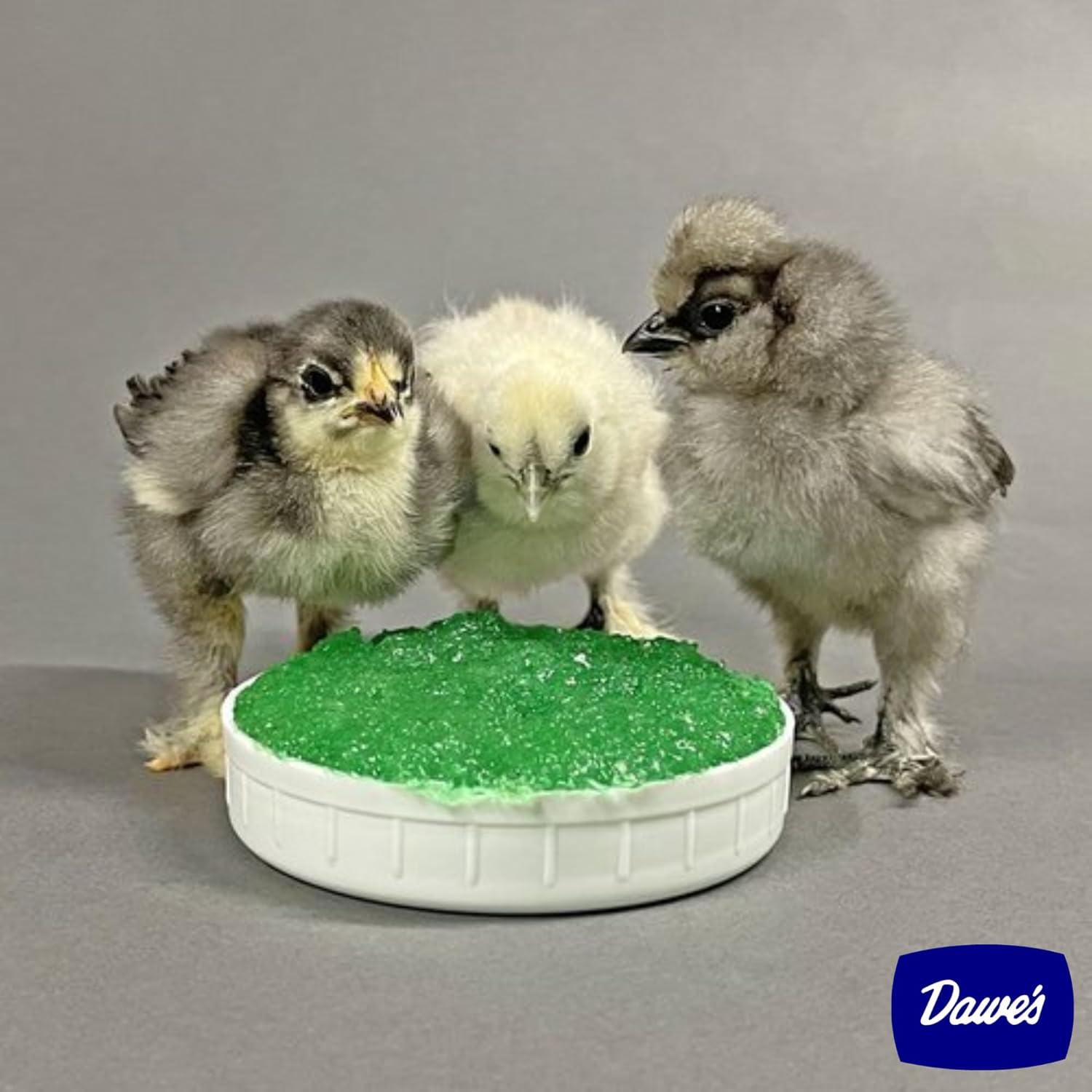Dawes GROGEL Plus B - Super Hydrating Poultry Gel Plus Nutrition for up to 5,000 Hatchlings