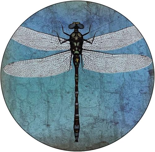 Mantel de cierre de borde redondo, mantel con bordes elásticos de libélula, fondo antiguo estilo grunge vintage y insecto de libélula para mesas