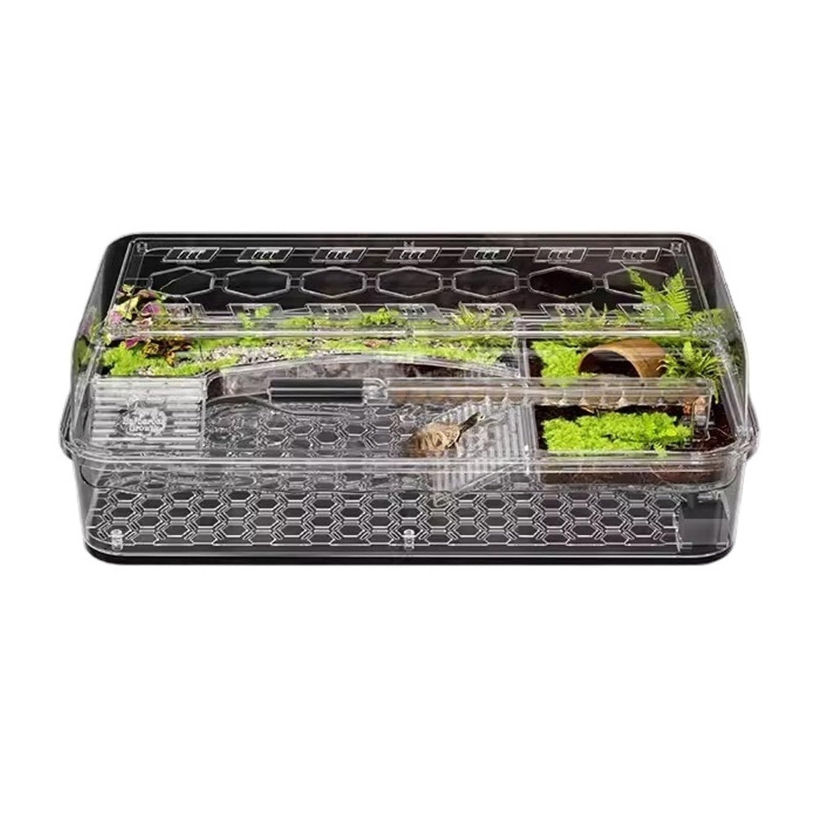 Siedlisko terrarium Zbiornik do hodowli żółwi, platforma suszenia na słońcu, wspinaczkowa, domowy pulpit Terrarium akwariowe(Mały)