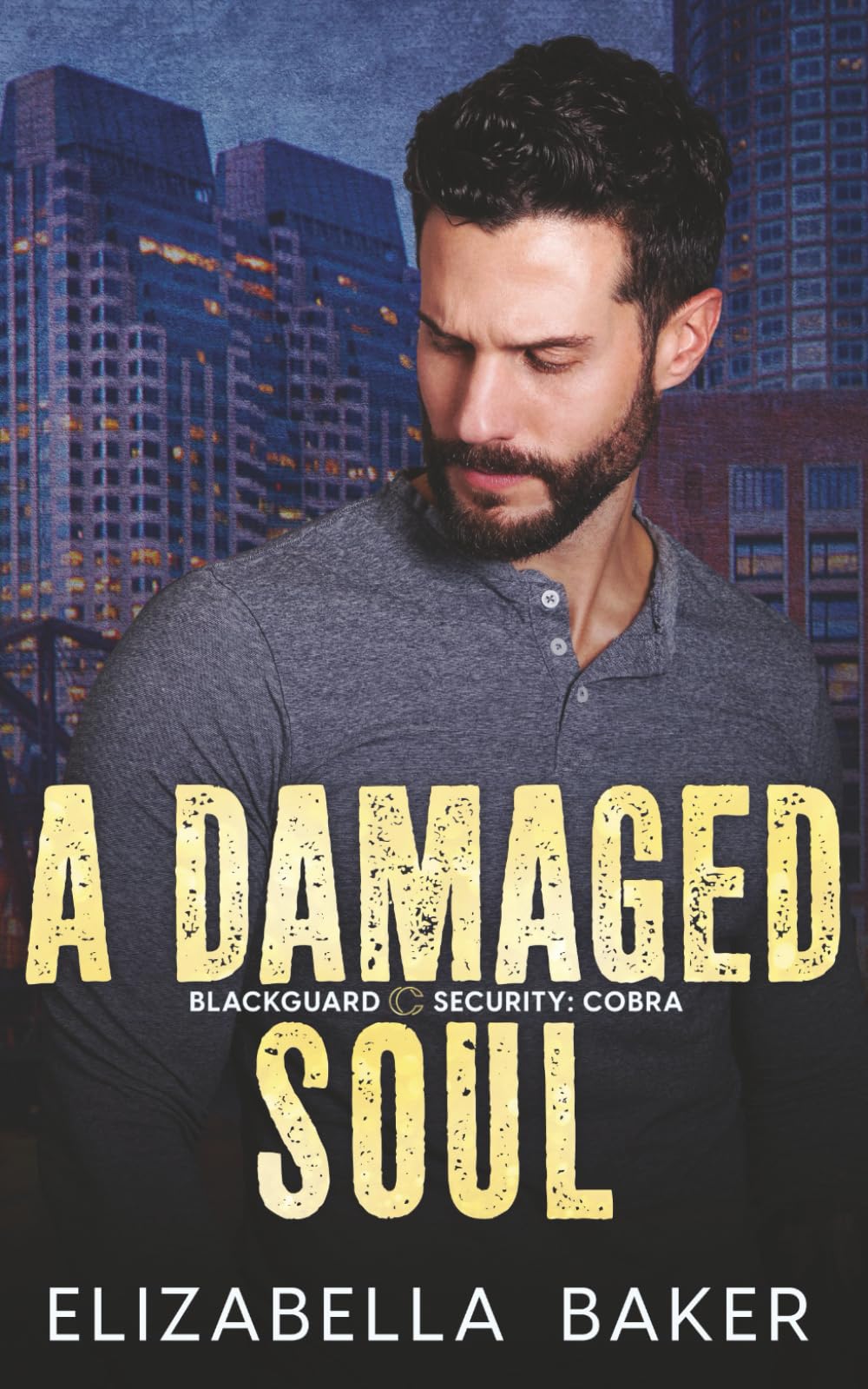 A Damaged Soul (Blackguard Security- Cobra)
