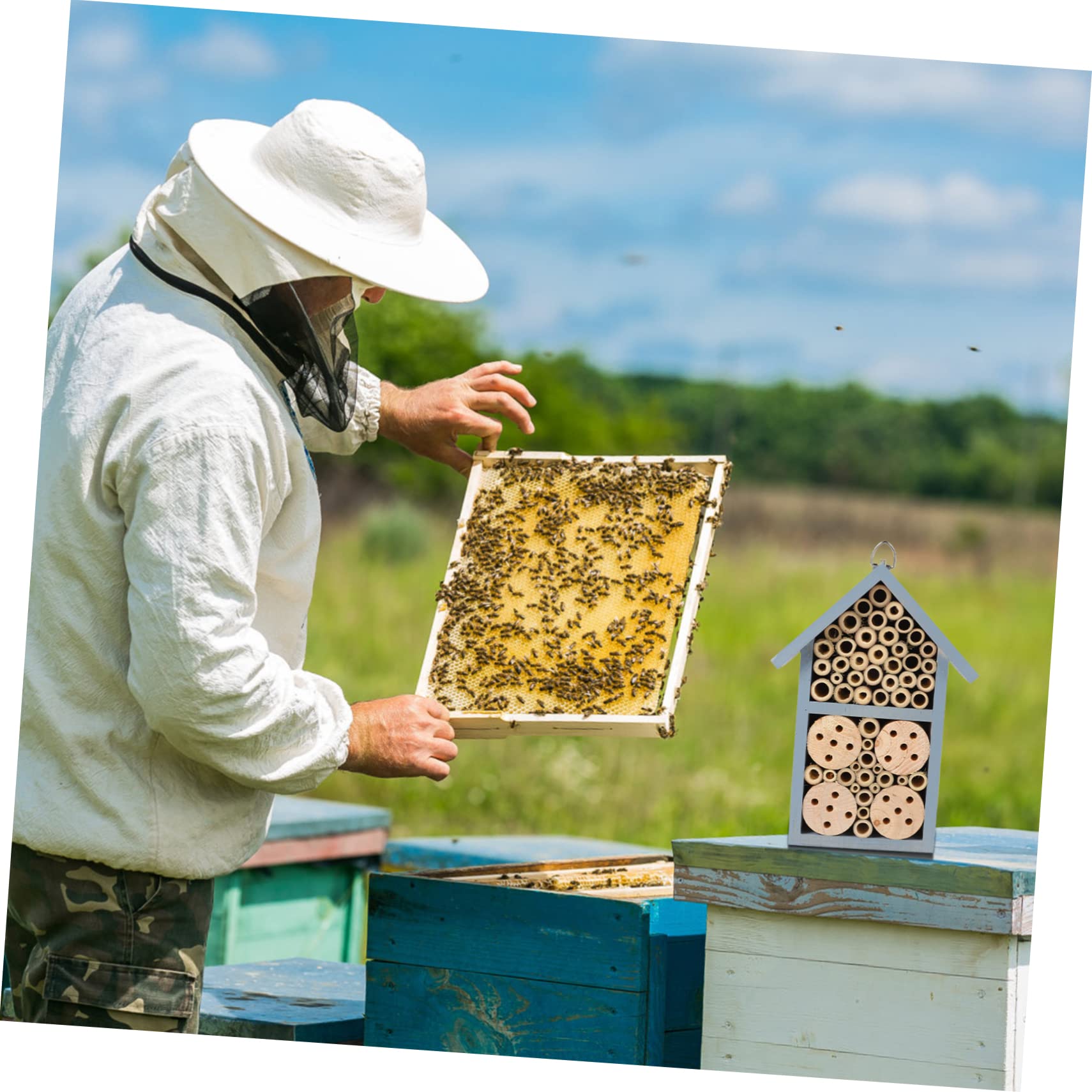 Insektenhotel Holzhaus Outdoor Bienenhaus Garten Mit Schmiedeeisernem Haken Hängend Überwinterungsplatz Für Wildbienen Und Marienkäfer Dekoratives Nisthilfe
