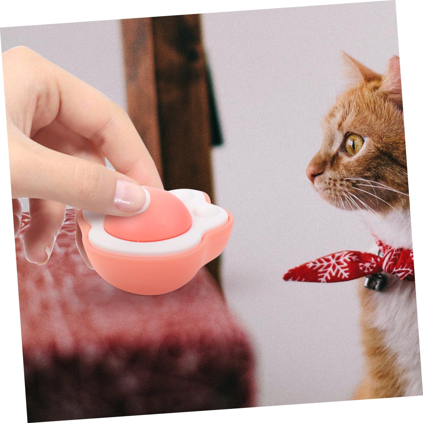 Toddmomy 12pièces Jouet Interactif pour Chat avec Boule De Cataire Comestible Stimule Le Jeu Et Hygiène Jouet Indoor pour Chatons