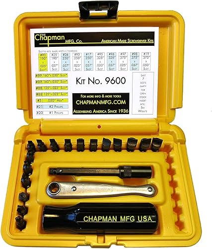Chapman MFG 9600 - Juego de destornilladores ranurados para arranque, 20 piezas, incluye 14 puntas de inserción de cabeza ranurada, 2 Phillips, mini