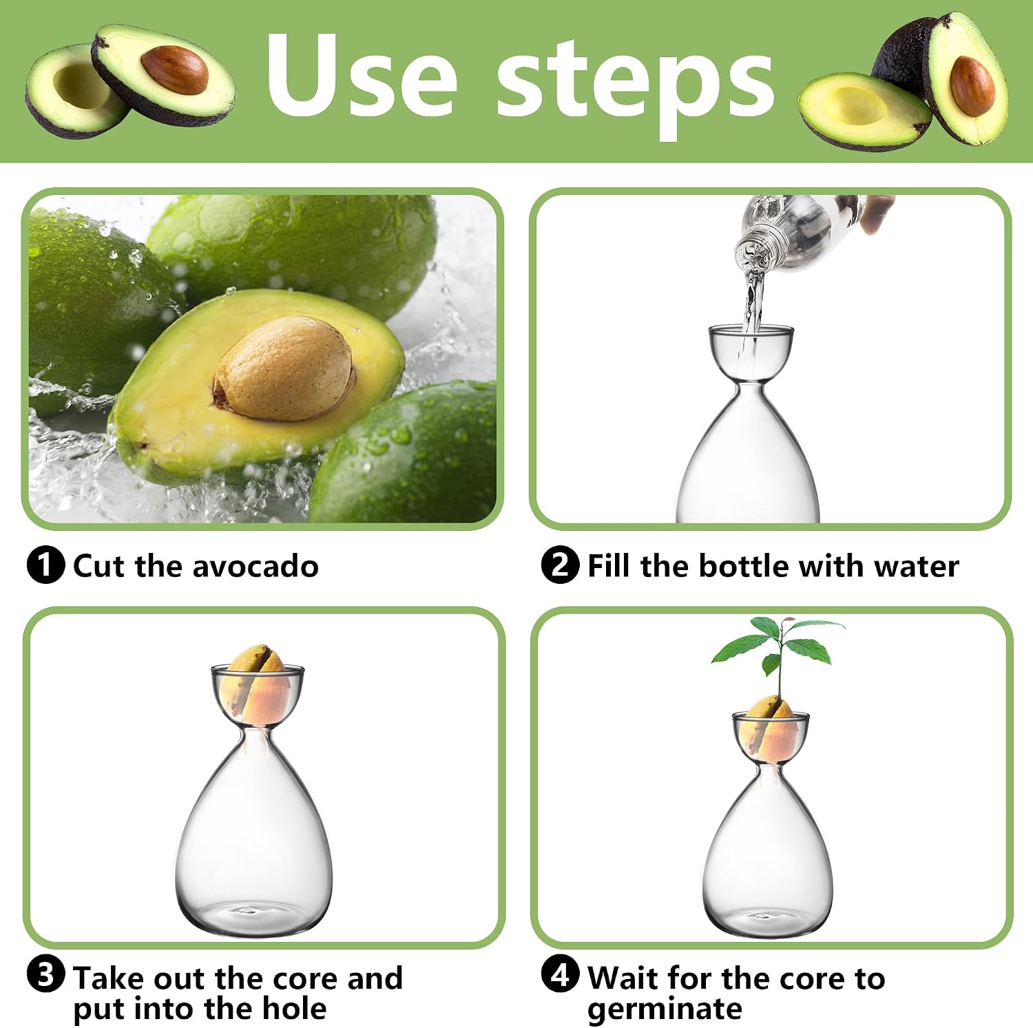 2pcs Small Avocado Seed Starter Vase, Avocado Tree Growing Kit, Avocados Glass Plant Pot Vase Gifts for Gardening Lovers (2pc Avocados vases) image 3