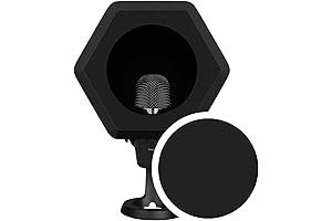 Microphone Reflection Filter: Enhance Recordings with Clarity and Precision