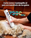 Ver la foto 4