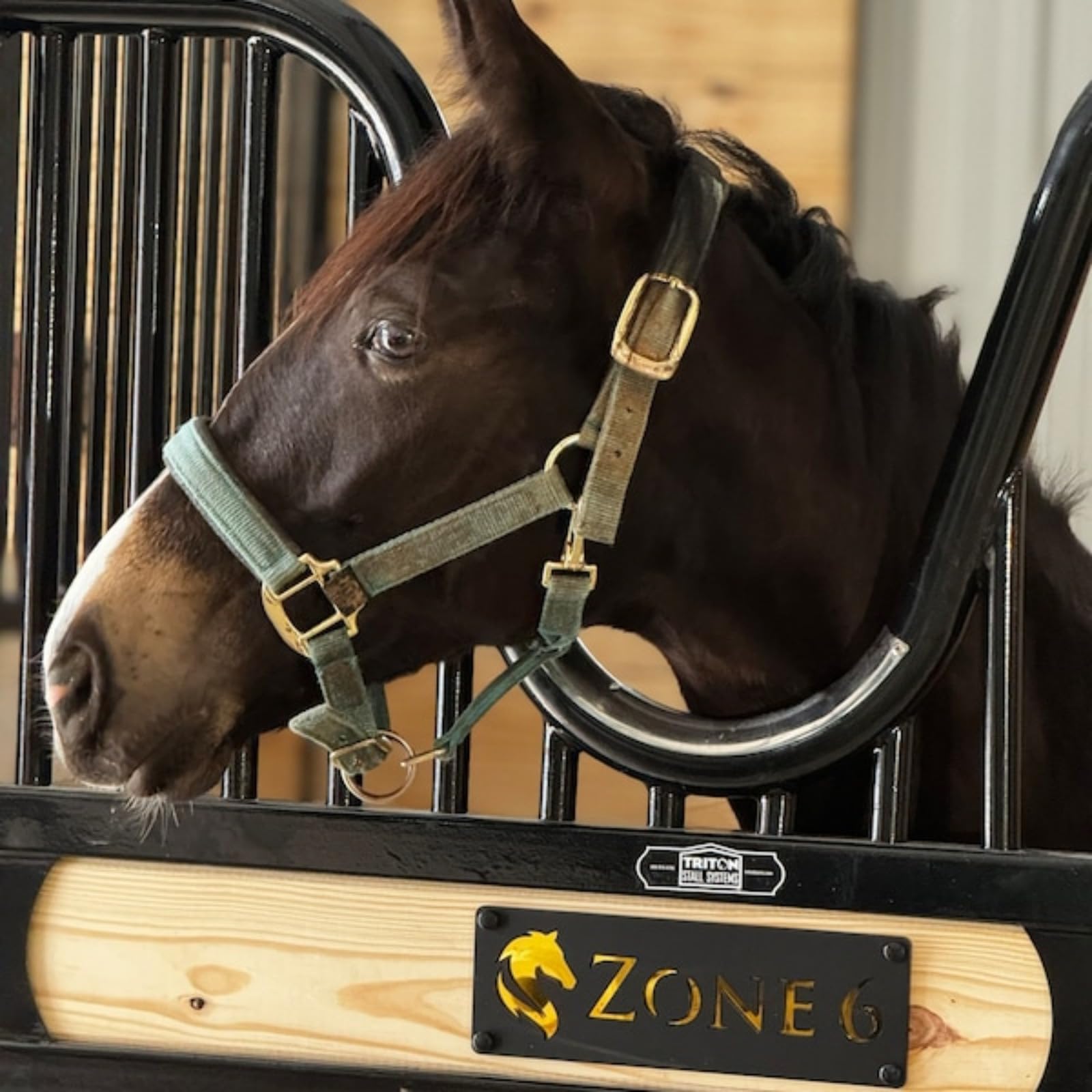Bancarella | Noleggio E Allestimento Arredi E Attrezzature Per Eventi - Foto 2