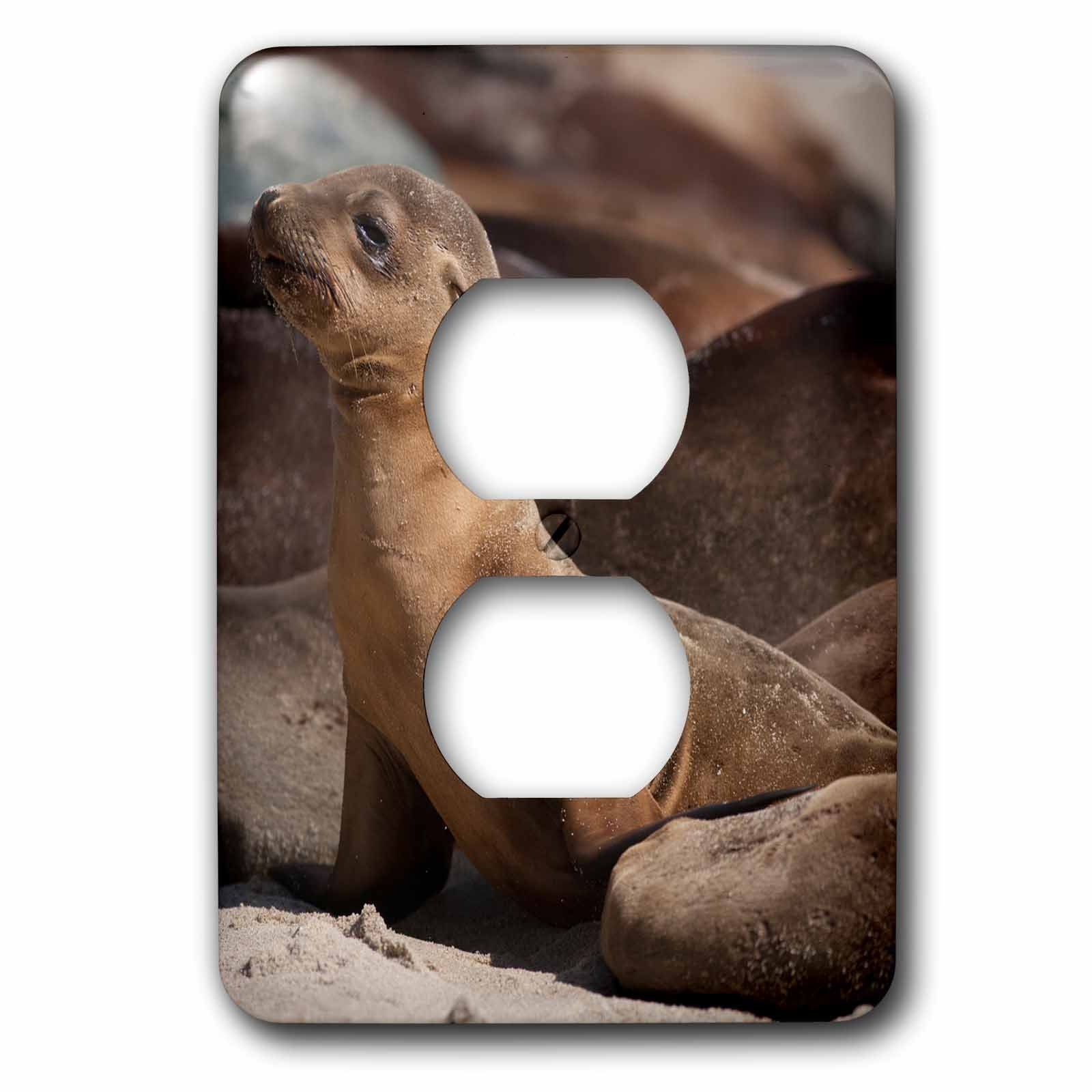 Couverture de prise mixte anti-rayures illustration otaries La Jolla