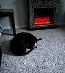Review Image by Amazon Customer