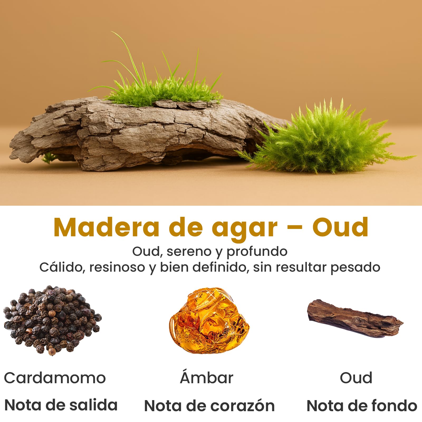 Recambio para difusor de coche BJ 047, 160 ml, duración de 9 a 12 meses, varias fragancias disponibles(Oud)