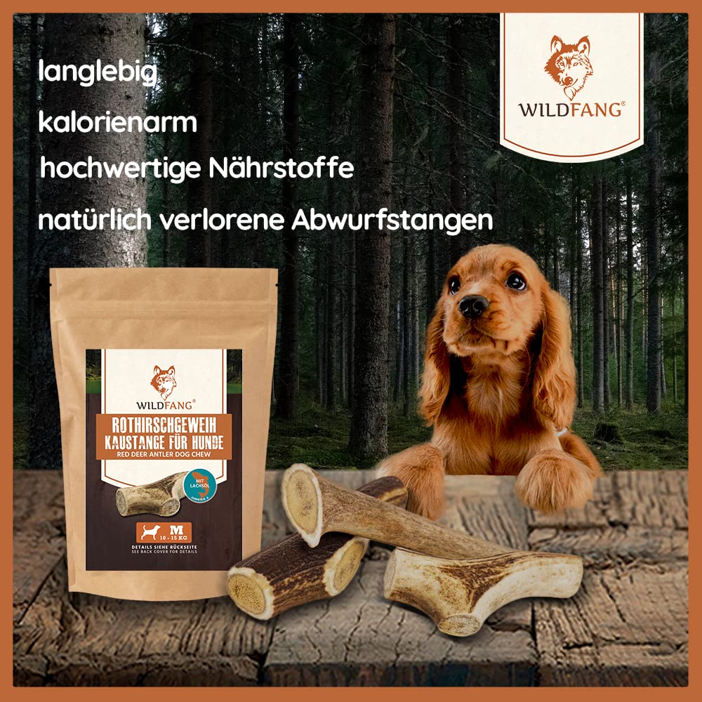 Wildfang® Rothirsch-Geweih Kauspielzeug – Hundespielzeug mit Lachs-Hirschgeweih, Zahnpflege für Hunde ohne Zusätze, natürliche Hirschgeweih Geweihe, ideal als Kauknochen Hund über 25 kg – 3er Pack