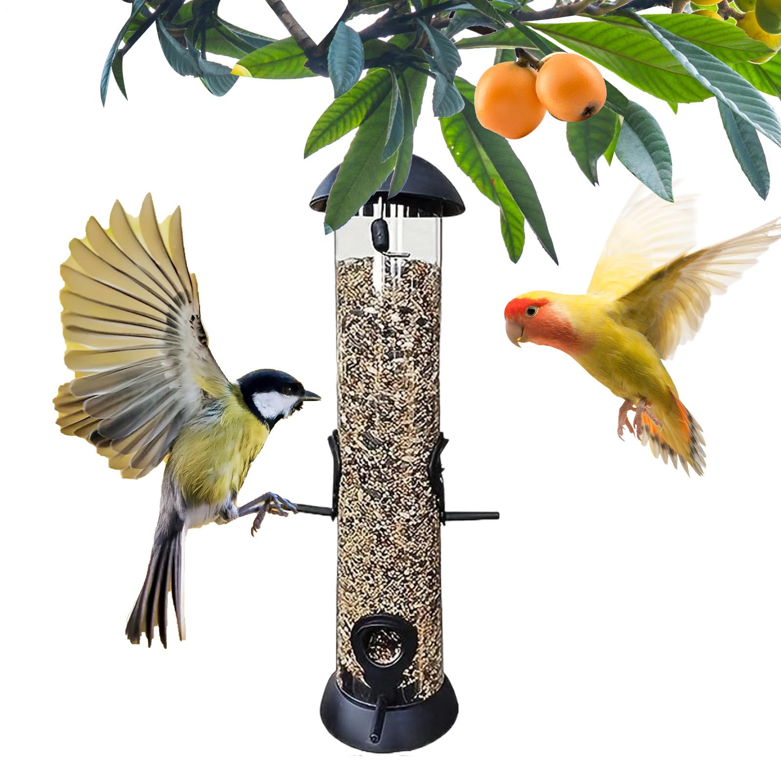Mangeoire pour colibris transparente pour partager des moments de douceur dans le jardin