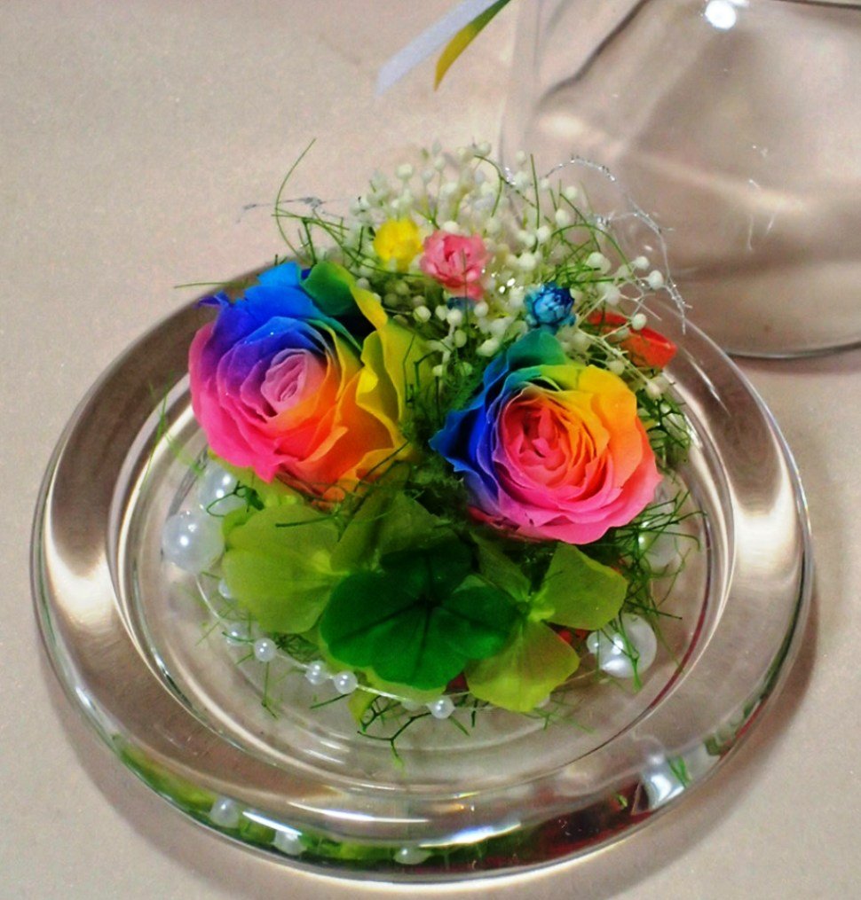 Amazon｜四葉のクローバー入りパステルカラーのレインボーローズ2輪の